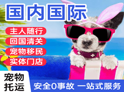 临沂启阳航空物流国际宠物托运 【国